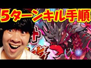 【ポコダン】5ターンキルが出来る手順！禁忌の竜バハムート攻略！「新極絶降臨開催中！」