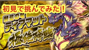【ポコダン】禁忌の竜ティアマット極絶降臨−完全初見で挑んでみた− ※無編集動画です。