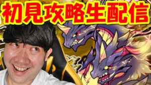 【ポコダン】初見攻略!生配信!「禁忌の竜ティアマット 極絶降臨初見!降臨初日」「新・極絶降臨開催中!」
