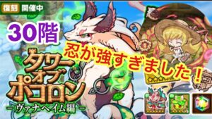 【ポコダン】ヴァナヘイム編−30階− セツナ、マーズなしで挑んでみた【タワーオブポコロン】