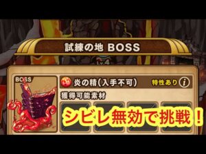【ポコダン】試練の地BOSSエリア−シビレ耐性上げて挑戦！−【ブレイブオブポコロン】