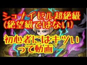 【ポコダン】初心者目線でシュナイゼルに挑んだら難しかったので対策を考えたといった内容の動画【ポコロンダンジョンズ】