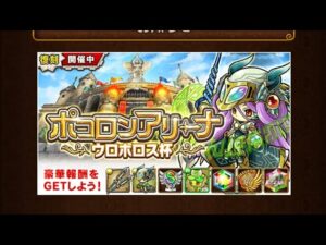【ポコダン】ポコロンアリーナ✨ウロボロス杯7部門✨ノーダメージを目指す❗
