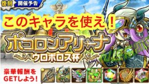【ポコダン】ウロボロス杯で活躍間違いなしのキャラ＆装備紹介！【ポコロンアリーナ】