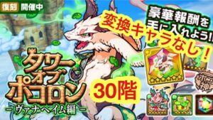 【ポコダン】ヴァナヘイム編30階-変換キャラなし！- 【タワーオブポコロン】