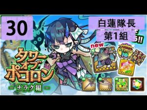 【ポコダン】 波可龍迷宮 — タワーオブポコロン 3代木塔 ナラク編 — 30階