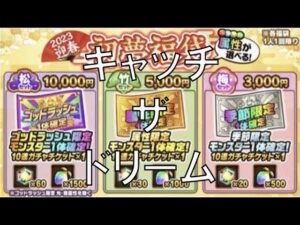 [ポコダン]夢を掴め！初夢福袋引いてみた