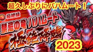 【ポコダン】超久しぶりにバハムート極絶降臨!【2ターンキル】【超極絶降臨祭】