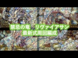 [ポコダン]禁忌リヴァイアサン周回編成紹介！~中級者〜ガチ勢まで~