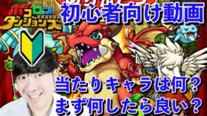 【ポコダン】初心者さん必見！！まず何したら良いか分からない！当たりキャラ何？というあなたに伝えます！！【初心者向け動画】