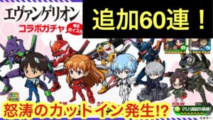 【ポコダン】エヴァコラボガチャ追加60連-アスカだけは意地でも手に入れる！-【エヴァンゲリオン】