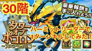 【ポコダン】アルフヘイム編30階-ハーミット使って1キルしてみた！-【タワーオブポコロン）