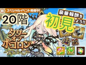 【ポコダン】【波可龍迷宮】タワポコアケロン編 20階 初見