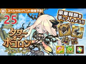 【ポコダン】アケロン編  25階  雷三塔 波可龍迷宮