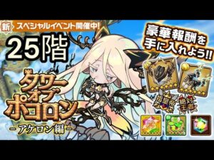 【ポコダン】【波可龍迷宮】タワポコアケロン編 25階