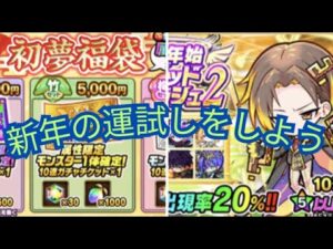 2024年最初の運試し！福袋チケット、ゴドラ２引いていく！[ポコダン]