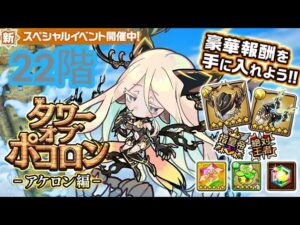 【ポコダン】【波可龍迷宮】タワポコアケロン編 22階