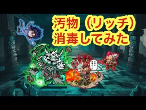 【ポコダン】レイの力を借りて汚物(リッチ)消毒してみた【北斗の拳】