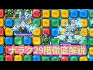 コツさえ掴めばいける！ナラク29階完全解説！[ポコダン]